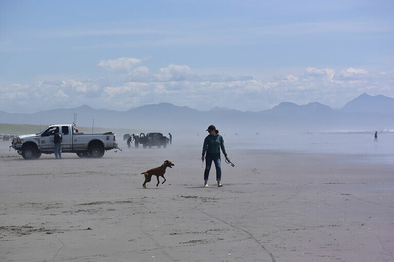 幅があるロングビーチ。犬の散歩に訪れる人も多数。