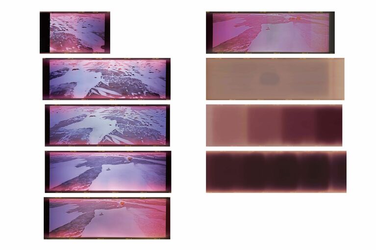 発見されたパノラマカメラのフィルムには、氷原、ホッキョクグマなど6枚の写真が確認でき、NHKニュースでも取り上げられた。 写真提供・星野道夫事務所