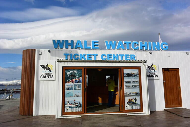 港に並ぶホエール・ウォッチングツアーのショップ。