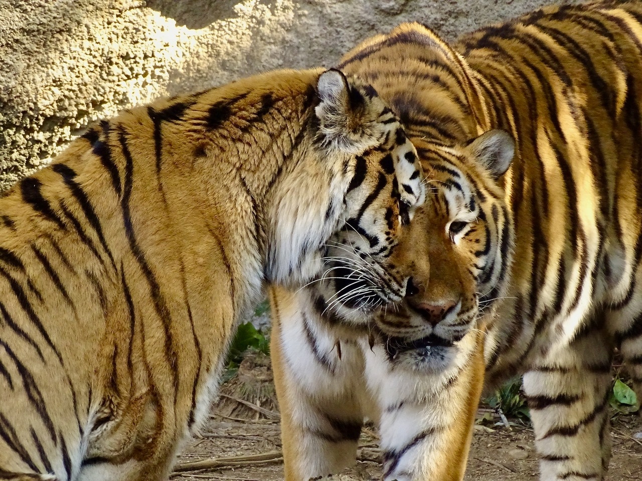 表情からも信頼し合っていることが伝わります。