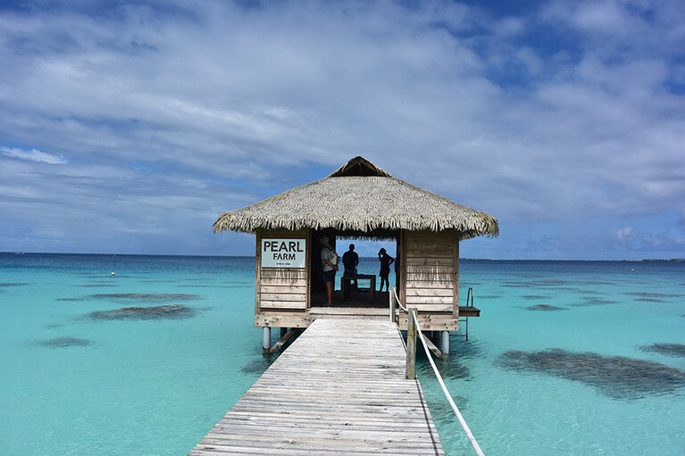 ハヴァイキ・ファカラバは1989年創業の黒真珠の養殖場を併設。