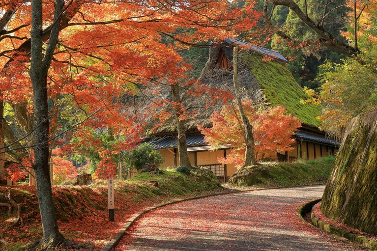 【福井県】花筐公園の紅葉。