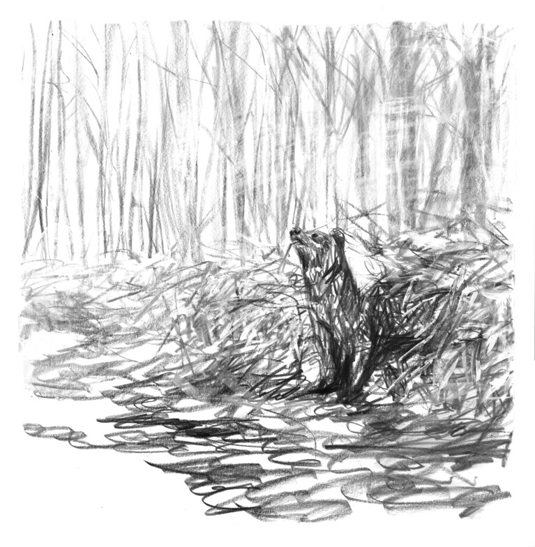 画・西川真以子