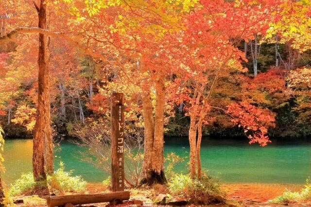 ドッコ沼の紅葉。