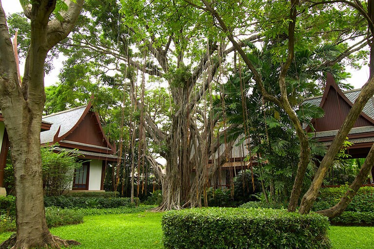 広大ではないが十分グリーンに囲まれて癒されるチバソムの環境。