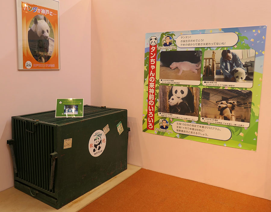 王子動物園内に展示された輸送箱と中国にいた頃のタンタンの写真（2022年7月31日）。
