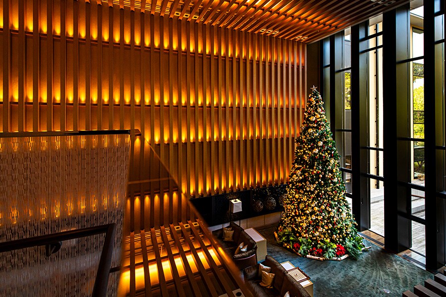 【フォーシーズンズホテル京都】 平安時代から続く名庭とクリスマスツリーが溶け合う風景 | ホテルのクリスマスツリー | 写真 | 1枚目