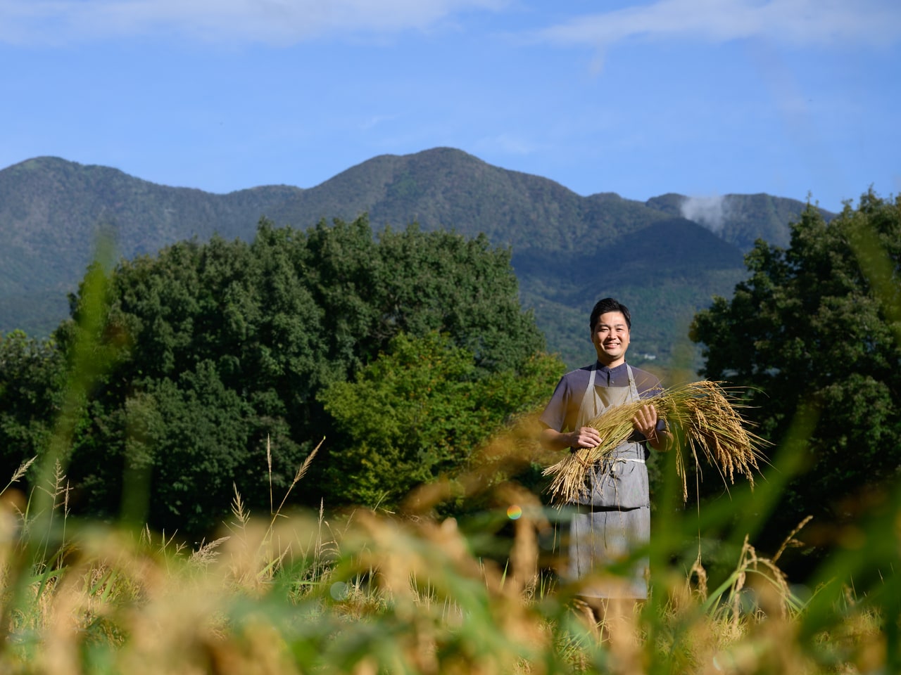 田んぼでは9月末~10月初旬に稲刈りが行われた。