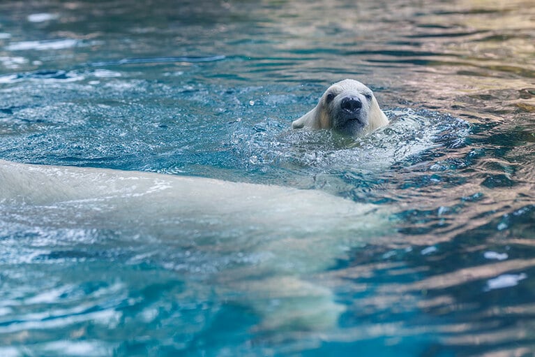 イッちゃんとライ。