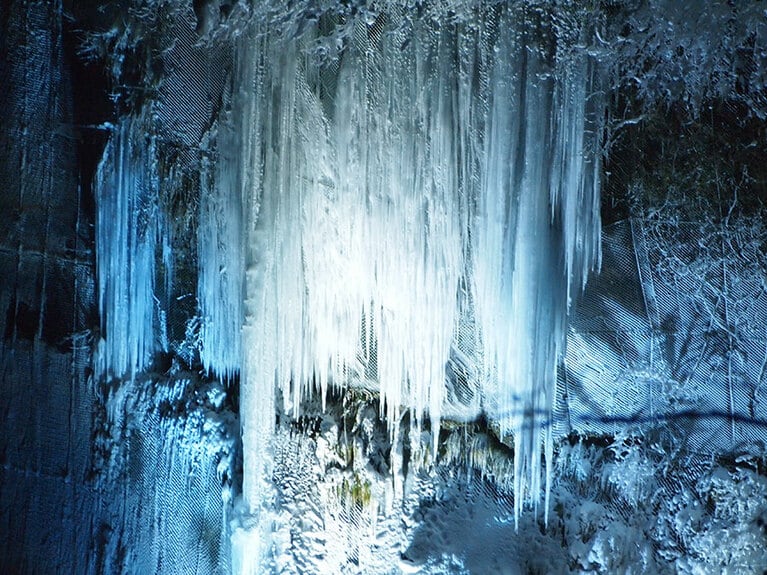 【秋田県】しがっこまつり。