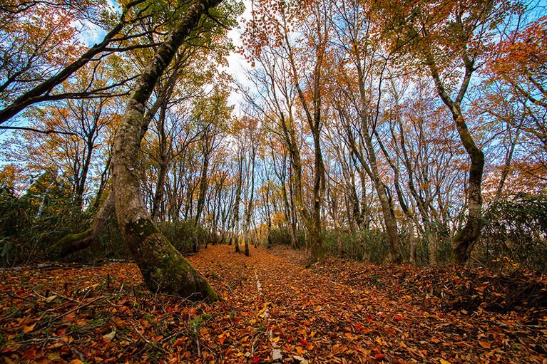高清水トレイル／岡山県