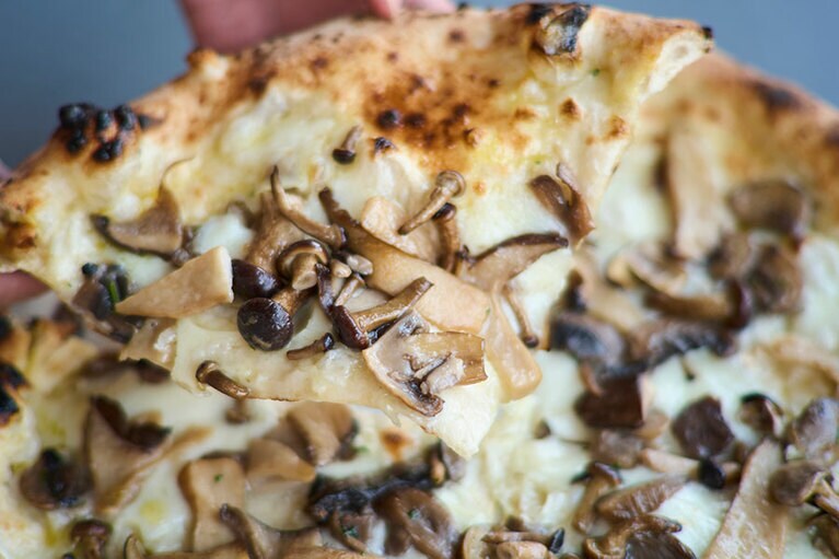 “トリス・ディ・フンギ” 9.50ユーロには、カルドンチェッリ、シャンピニオンなどがたっぷり。