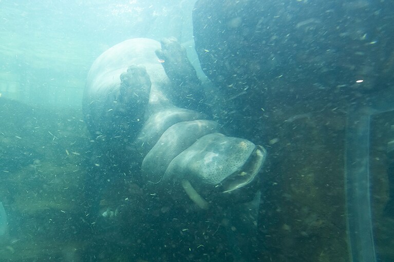 目の前でくるくる回転。