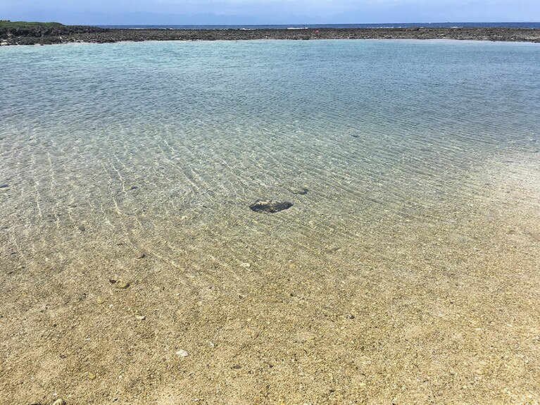 小魚なども見える透明度抜群の入り江。