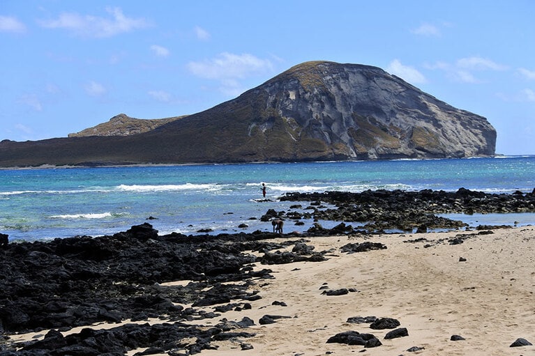 岩場のあちこちにタイドプールがあります。