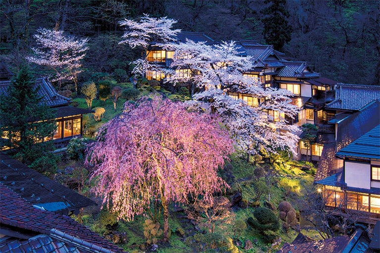 春の桜、冬の雪見ろうそくなど、四季折々の景観も評判。