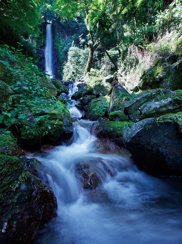 養老の滝。