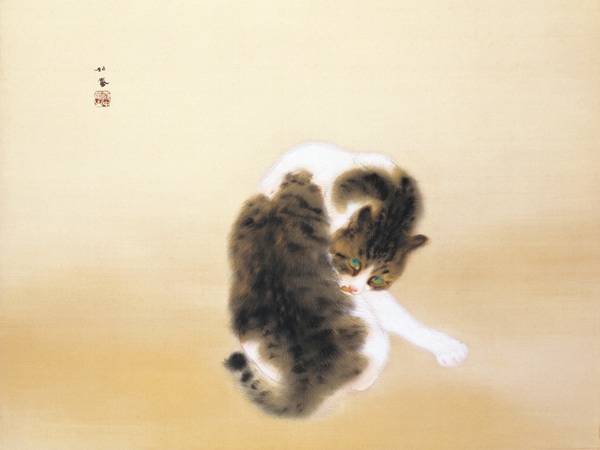 img_5b20622c2b1af841e01508bd19