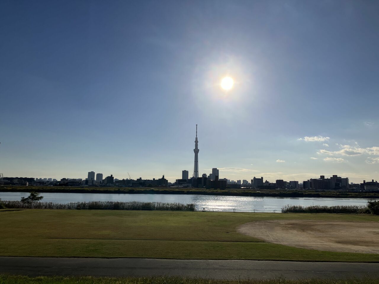 四ツ木まで行けばスカイツリーの絶景も