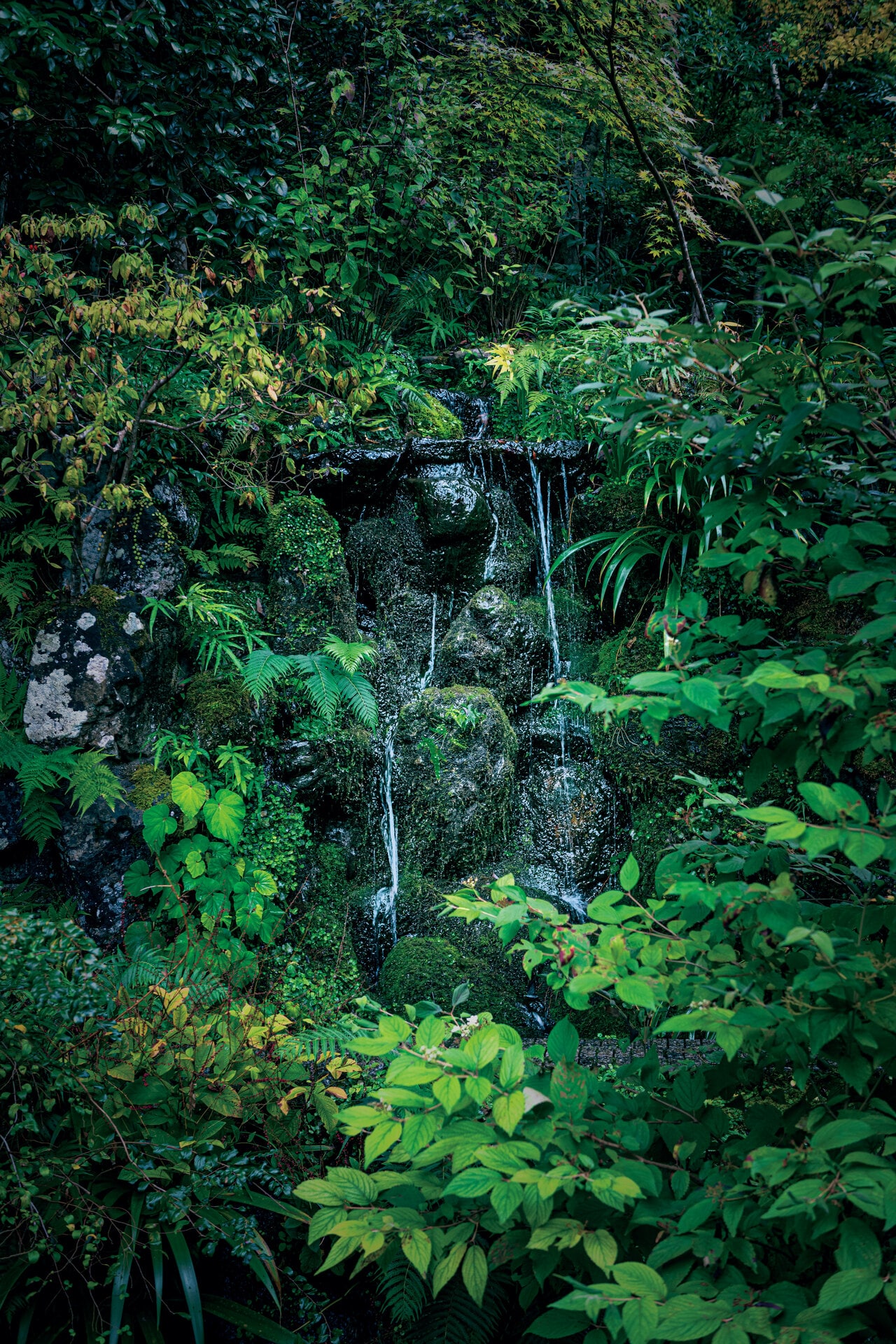 流れ落ちる滝の手前に木を植え、滝の全体像を直接見せないようにする手法。木を透かして滝を見せることで奥ゆかしさを演出し、見る者の想像力を搔き立てる効果がある。