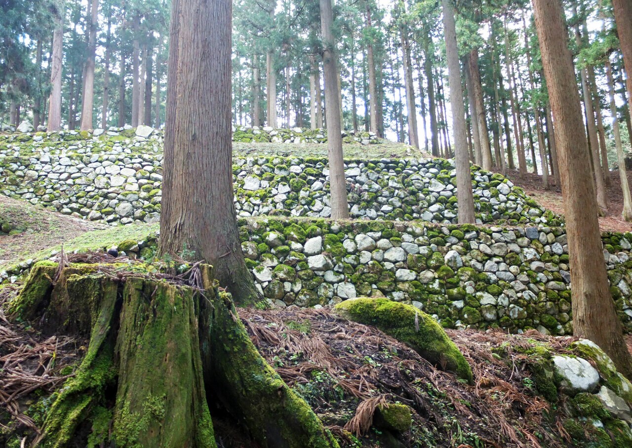 鬱蒼とした山中に美しい石段と石垣を残す七尾城跡