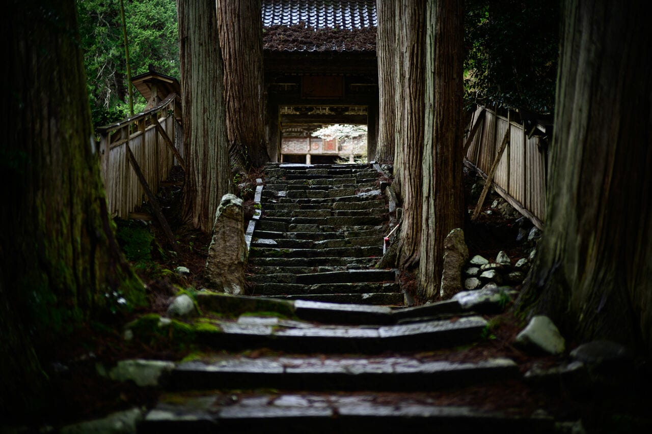 写真はイメージです。提供：アフロ