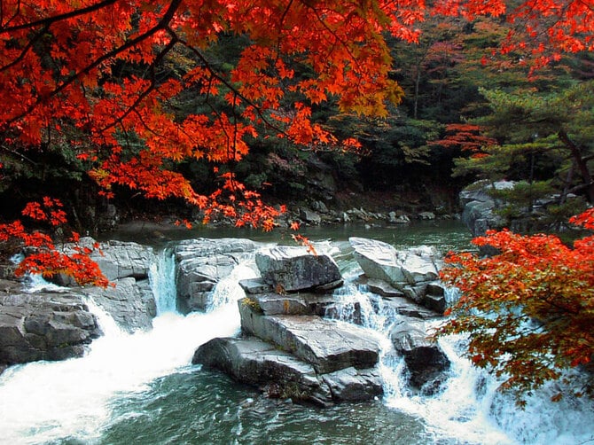 掛軸 広田超遊 渓谷之秋 木箱 紅葉 風景画 山水 4K] 紅葉の絶景鉄道 2021 秋 Railroad Scenery in the