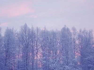 朝夕、ピンク色に染まる白銀世界の景色が印象深いという。