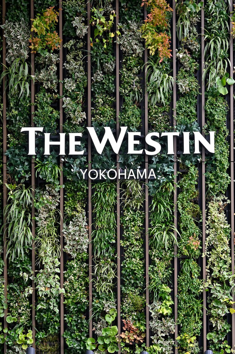 エントランスを飾るグリーンウォール。