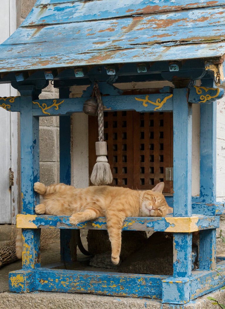 「初詣……誰も来ないのニャ……退屈なのニャ……」