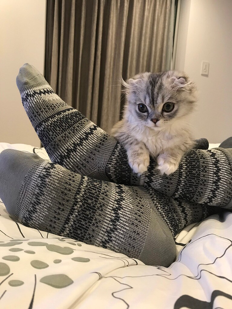 ペチャ ♀ 3歳。足にチョコンと乗ったのがあまりにも可愛くて撮影した想い出の1枚です。