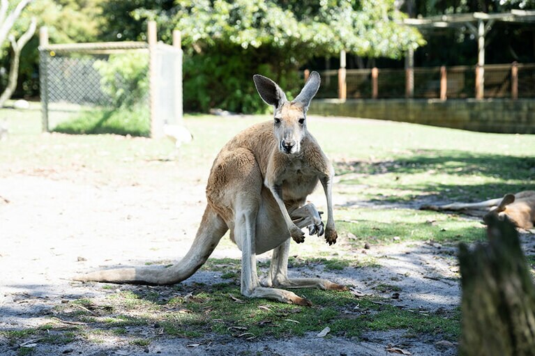 赤ちゃん大きすぎ。