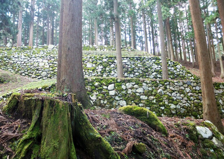 鬱蒼とした山中に美しい石段と石垣を残す七尾城跡