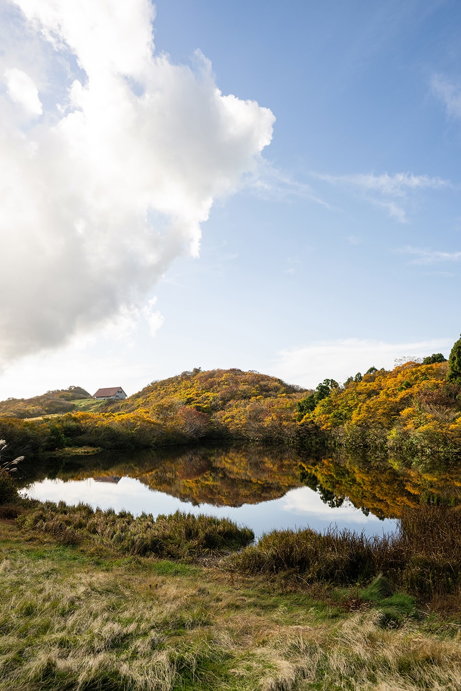 季節ごとに美しい景色を楽しめるドンデン池。静かな水面には色とりどりの紅葉が。
