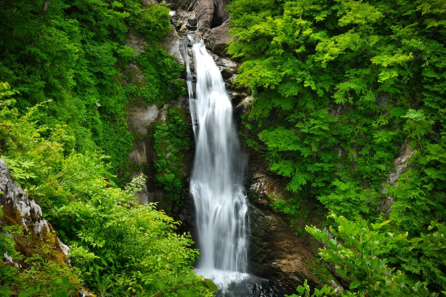 秋保大滝●山形との県境に近い山中で落差55mの壮観な眺めが爽快な名瀑・秋保大滝。日本の滝百選に選ばれ、恋にもご利益ありといわれる秋保大滝不動尊奥の滝見台、マイナスイオンたっぷりの滝つぼの2カ所から見学可能。