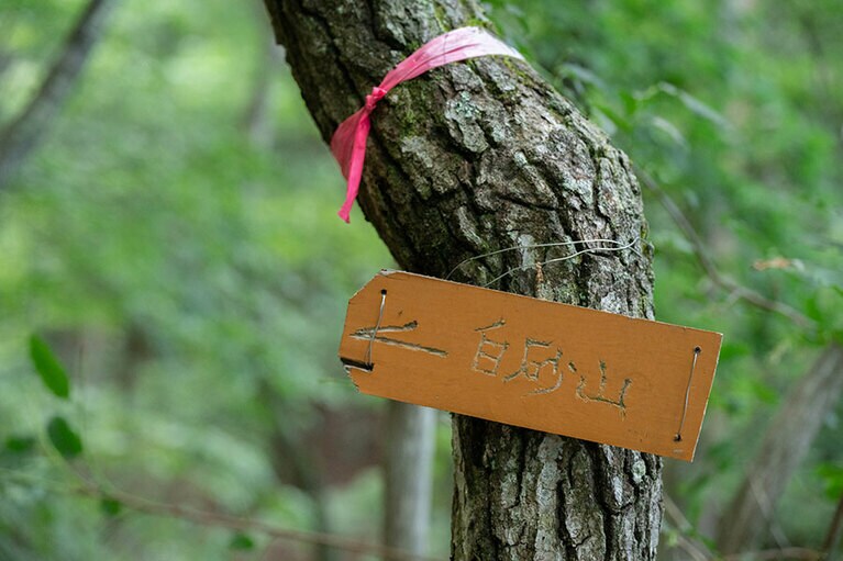 目印は見逃さずに。