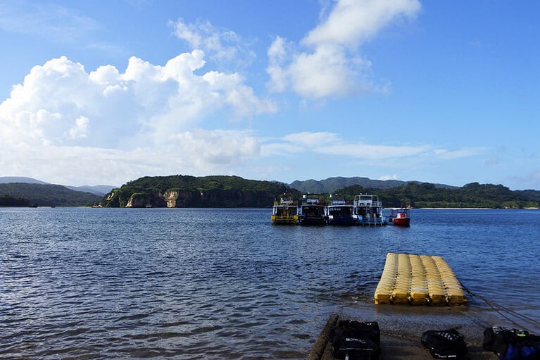 大型ダイビング船を日本で初めて導入したダイビングチームうなりざき。