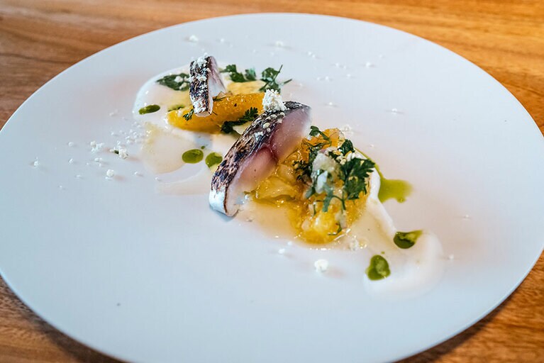 「スモーク〆鯖 フェンネル、オレンジとヨーグルトソース」