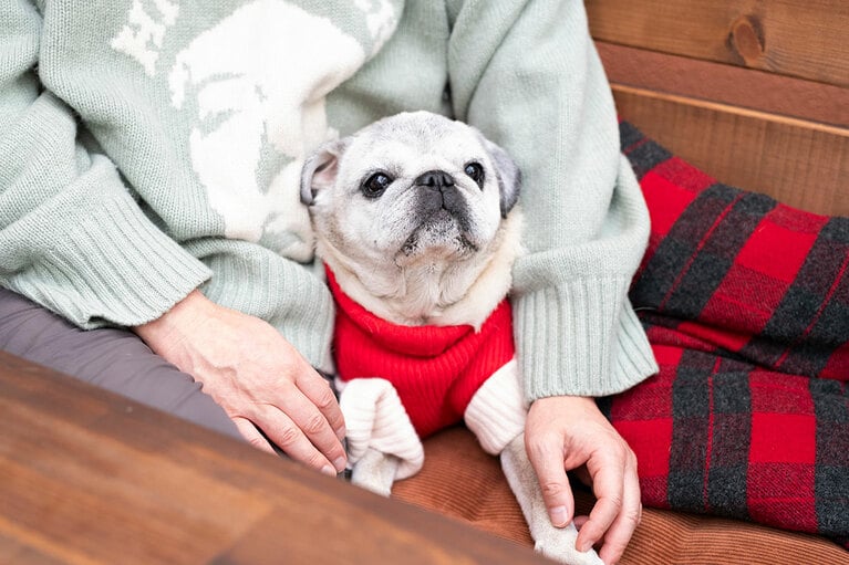 アザーカット。