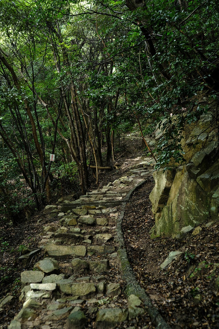 登山道は想像以上に険しい。クマにも注意が必要だ。