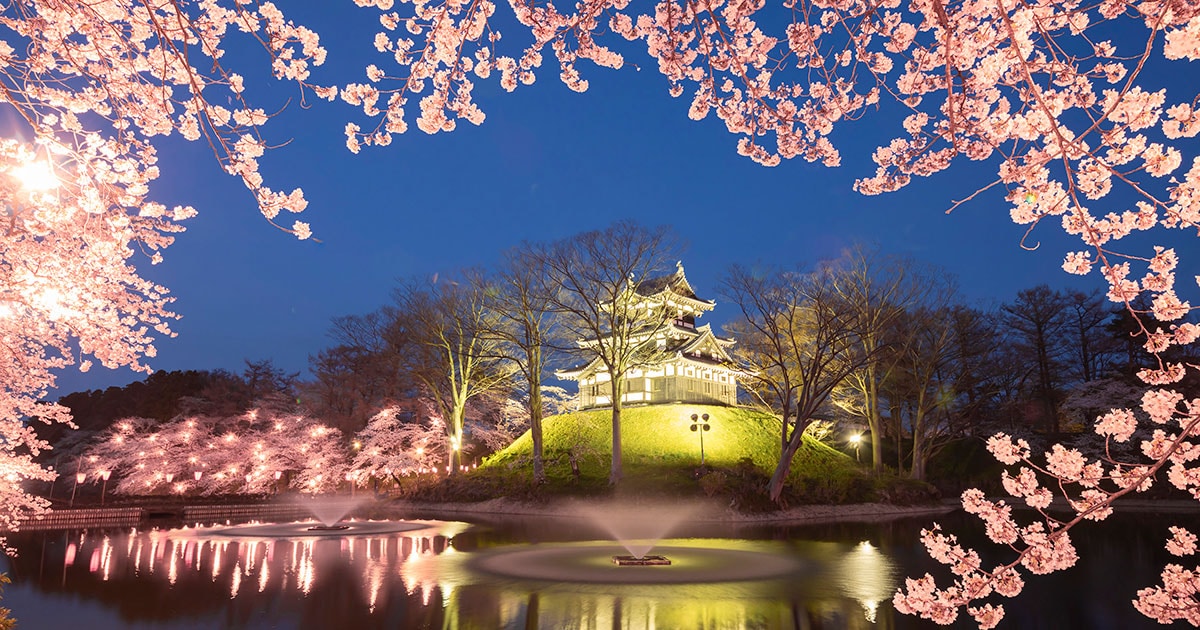 新潟県 2024年版】 春の絶景・風物詩10選 高田の夜桜300メートルの