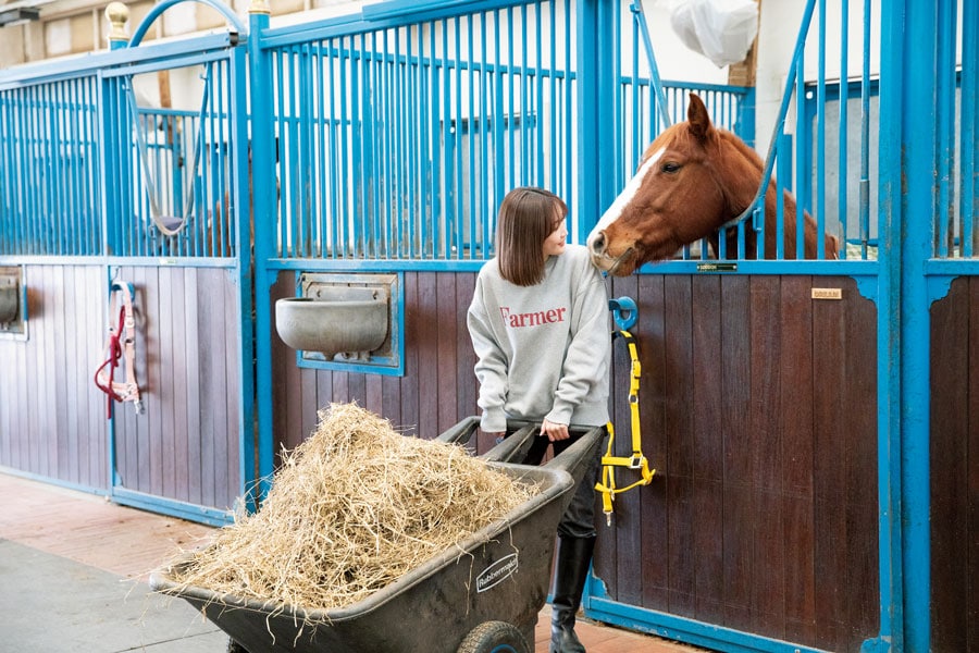 経営業務だけでなく馬の世話、芝や牧草の手入れなど、牧場での仕事は尽きることがない。「でも、新参者だからお馬さんたちになめられちゃって、私の言うことを聞いてくれないときもあります(笑)」