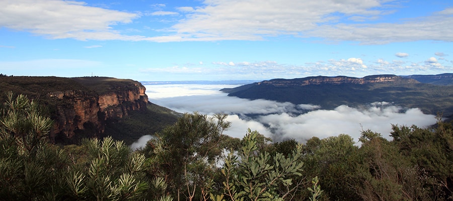 ブルー・マウンテンズ。photo:David Ireland/Tourism Australia