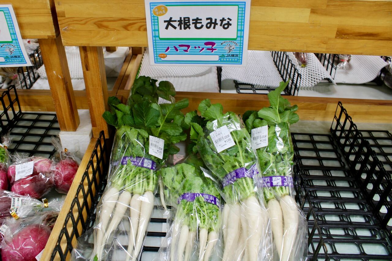 大根の葉を食べるための品種「もみな」。一般的な大根の葉と比べると柔らかく料理に使いやすい。