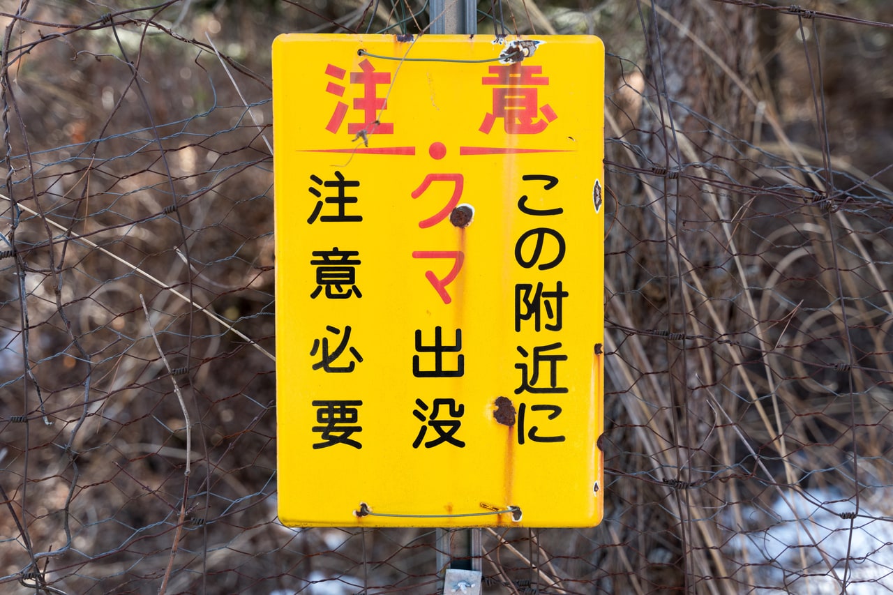 クマによる人的被害が深刻化している。©tonkoAFLO／イメージマート