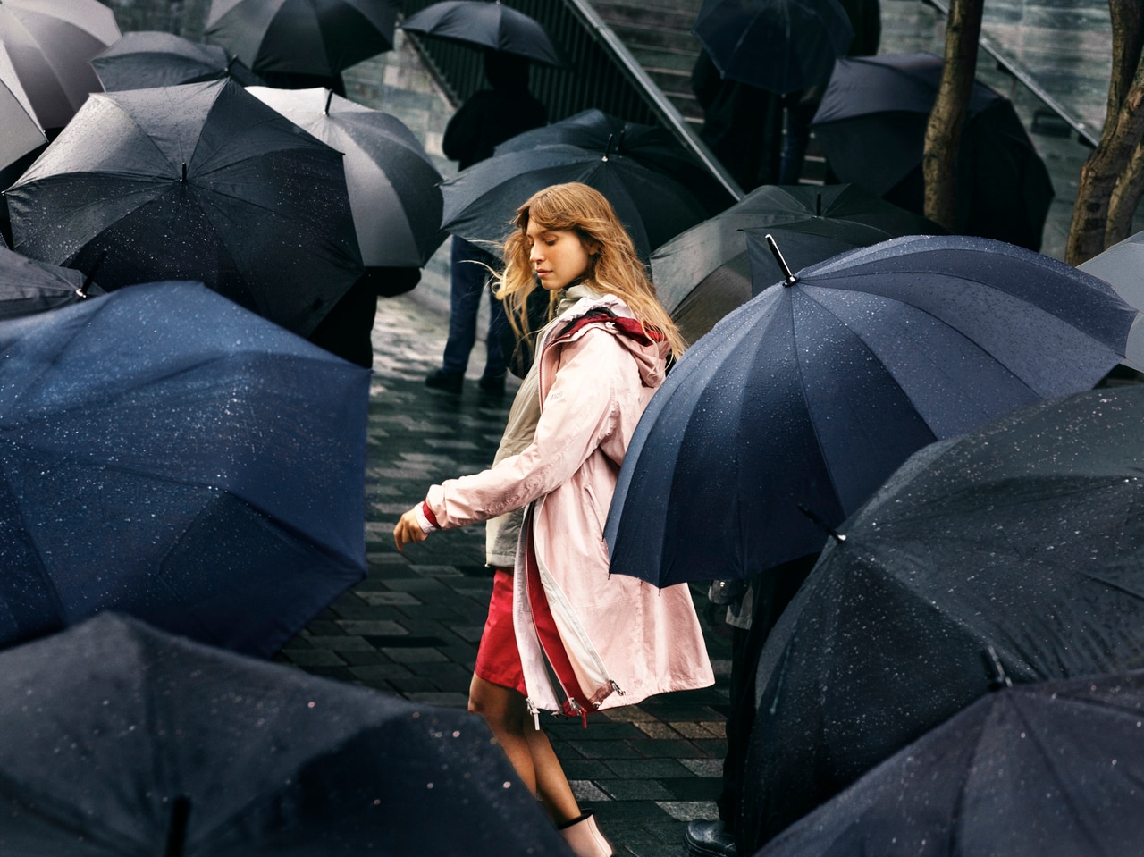 AIGLE