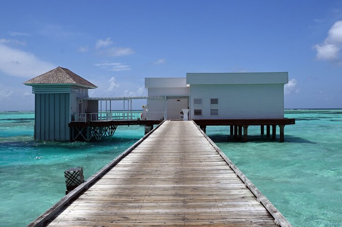 地上から見ると、こんな感じ。水面下に魅惑の世界が広がっています。