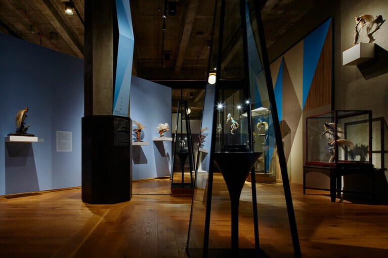 インターメディアテク開館十周年記念特別展示『極楽鳥』会場写真 ©UMUT+L’ÉCOLE