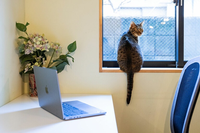 外の様子を見る小波ちゃん。