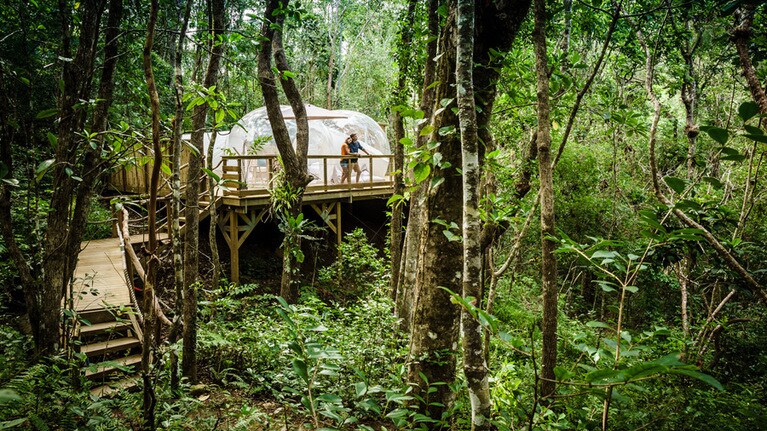 ニューカレドニアに魅力は海だけではありません。グランドテール島では、原始の森での滞在を楽しむことも可能。Photo：JC Robert／NCT